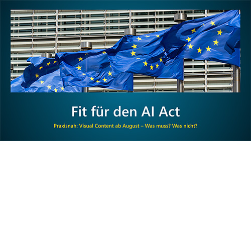 Webinar Fit für den AI Act